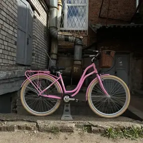 Ritma ZEBRA розовый 1