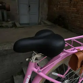 Ritma ZEBRA розовый 1