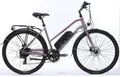 Ritma BRAMBI313 серый 1