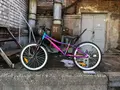 Novatrack Katrina 20 фиолетовый металлик 1