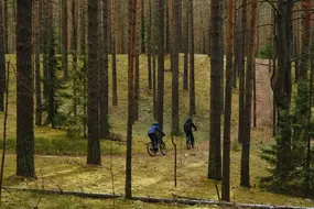 FORMAT 1213 29 красный 1