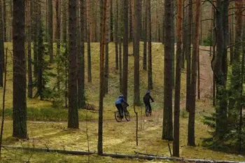 FORMAT 1213 29 красный 1