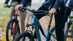 FORMAT 7715 27.5 бежевый 1