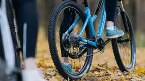 FORMAT 7715 27.5 бежевый 1