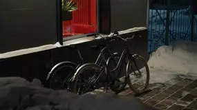 FORMAT 7733 26  серый 1