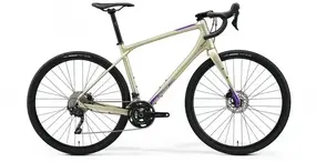 Merida Silex 400 28" шампанское 1