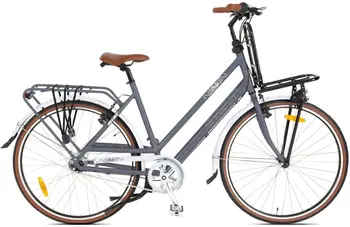 Aist Oslo 28 серый 1