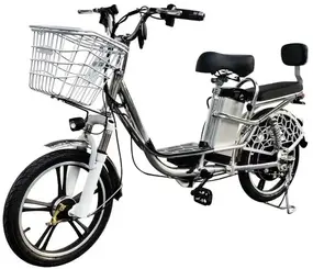 Electro Hybrid Dacha 1