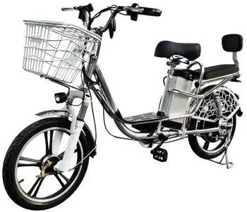 Electro Hybrid Dacha 1