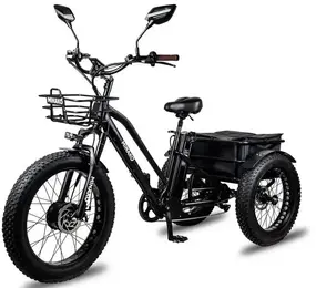 Трехколесный электровелосипед Minako Trike 1