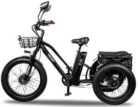 Трехколесный электровелосипед Minako Trike 1