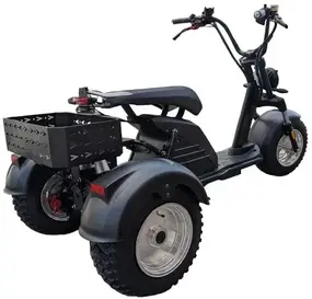 Трехколесный CityCoco M6 Pro 1