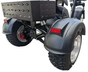 Трехколесный CityCoco M6 Pro 1