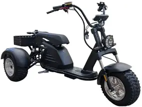 Трехколесный CityCoco M6 Pro 1