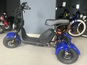 Трехколесный электроскутер CityCoco GT-X6 1