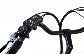 Elbike GALANT BIG (C15) 1