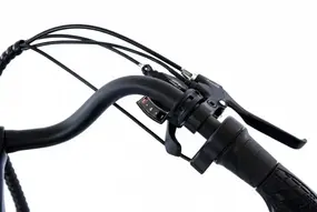 Elbike GALANT BIG (C15) 1