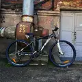 Aist Slide 3.0 29 черно-белый 1