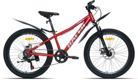 Racer Tempo 24 красный/серебристый 1