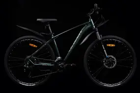 Racer Legion 29 темно-зеленый 1