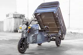 Грузовой электротрицикл Rutrike Мастер 1500 60V1000W   Черный матовый 1