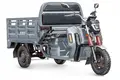 Грузовой электротрицикл Rutrike Антей Pro 1500 60V1200W Серый 1