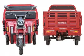 Грузовой электротрицикл Rutrike Антей Pro 1500 60V1200W Серый 1