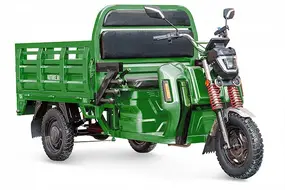 Грузовой электротрицикл Rutrike Антей Pro 1500 60V1200W Зеленый 1