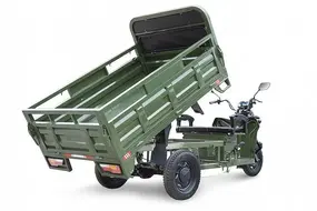 Грузовой электротрицикл Rutrike D4 NEXT 1800 60V1200W Зеленый 1