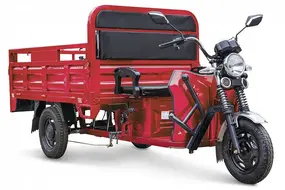 Грузовой электротрицикл Rutrike D4 NEXT 1800 60V1200W Красный 1