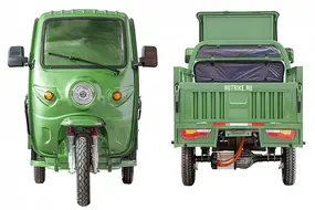 Грузовой электротрицикл Rutrike Гермес 1500 60V1200W   темно-зеленый 1