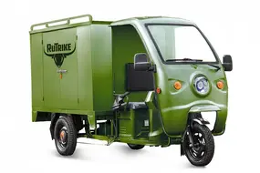 Грузовой электротрицикл Rutrike КАРГО 1800 60V1000W	Зеленый 1
