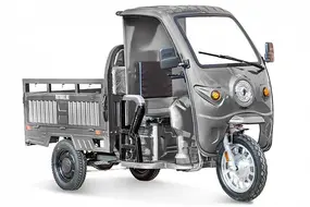 Грузовой электротрицикл Rutrike Гермес Pro 1500 72V1500W	темно-зеленый 1