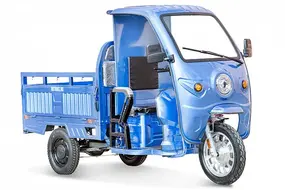 Грузовой электротрицикл Rutrike Гермес Pro 1500 72V1500W	темно-зеленый 1