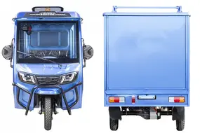 Грузовой электротрицикл Rutrike КАРГО Кабина Дуал Зеленый 1