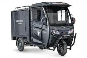 Грузовой электротрицикл Rutrike КАРГО Кабина Дуал Черный матовый 1