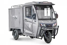 Грузовой электротрицикл Rutrike КАРГО Кабина Дуал Черный матовый 1