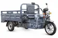 Rutrike Титан NEXT 2000 60V1500W Синий 1