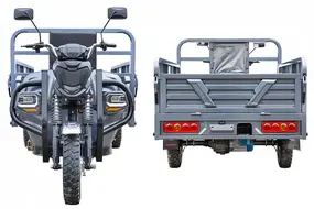 Грузовой электротрицикл Rutrike Атлант-У 2000 60/72V2000W Серый 1