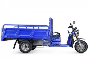 Грузовой электрический трицикл Rutrike Эксперт ПРО 2000 темно-синий 1