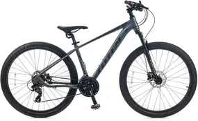 Totem Master 27,5 Серый 1