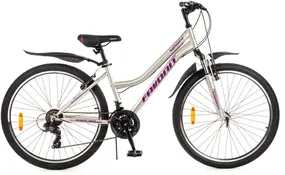 Favorit Sunrise 26 серебристый 1