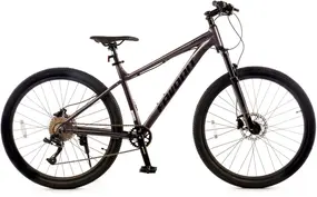 Favorit Falcon 27.5 HD серый 1