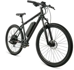 Электровелосипед E-Forward Apache 29 E-500  черный матовый/черный 1