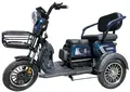 Электротрицикл Smart8 Bulbash S синий 1