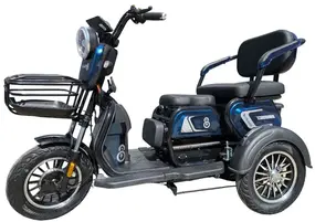 Электротрицикл Smart8 Bulbash S синий 1