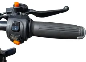 Электротрицикл Smart8 Bulbash S синий 1