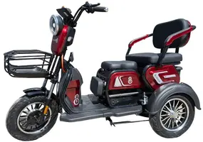 Электротрицикл Smart8 Bulbash S  красный 1