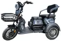 Электротрицикл Smart8 Bulbash S серый 1