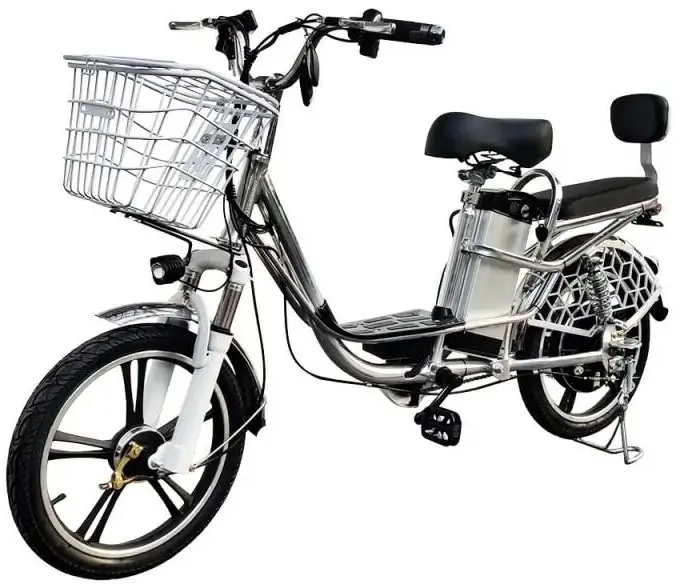 Electro Hybrid Dacha 1